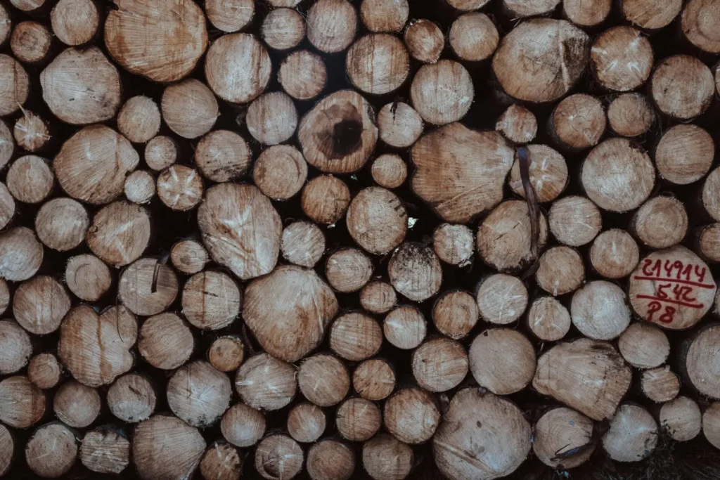 Stack of timber logs with natural texture
